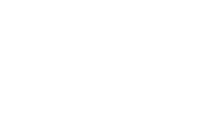 the vein specialist